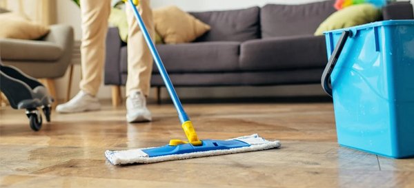 Regular Cleaning Regular Cleaning